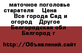 маточное поголовье старателя  › Цена ­ 3 700 - Все города Сад и огород » Другое   . Белгородская обл.,Белгород г.